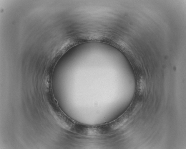 X0000089370264200707061121