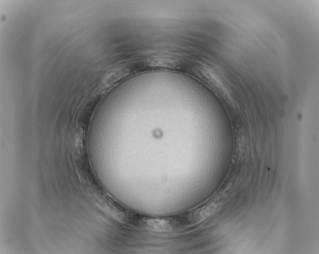 X0000089370265200707061121