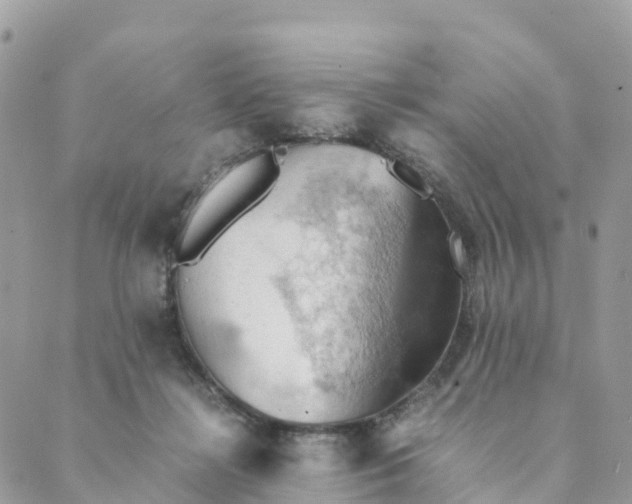 X0000089370268200707061121