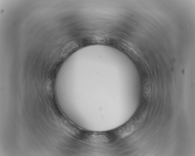 X0000089370270200707061121