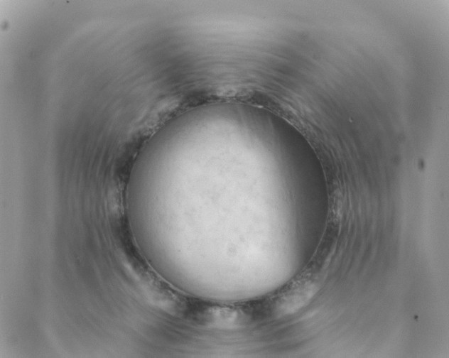 X0000089370272200707061121