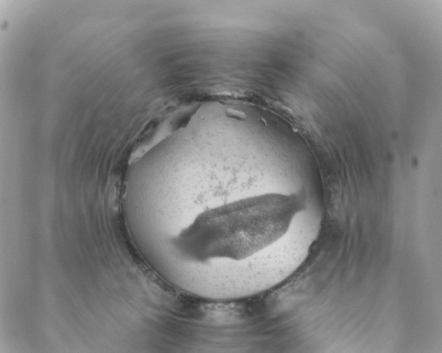 X0000089370273200707061121