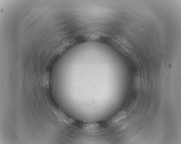 X0000089370274200707061121