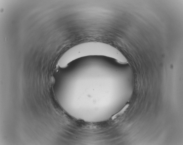 X0000089370276200707061122