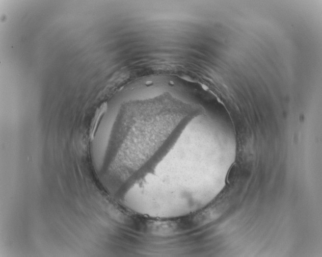 X0000089370277200707061122