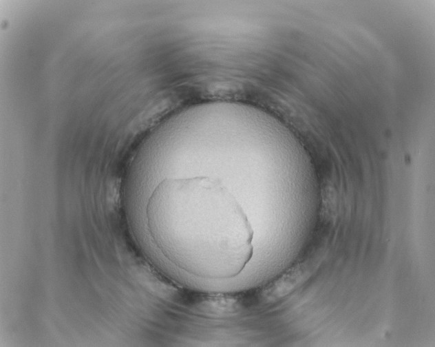 X0000089370278200707061122