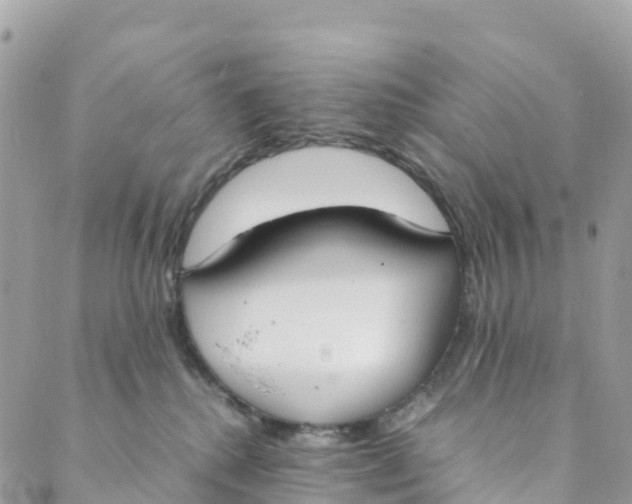 X0000089370280200707061122