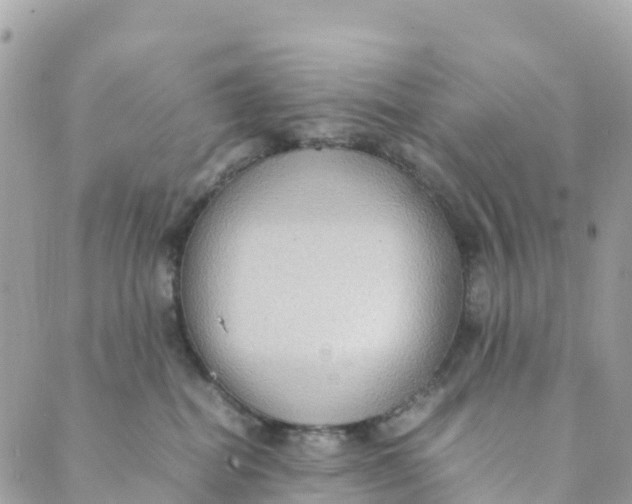 X0000089370282200707061122