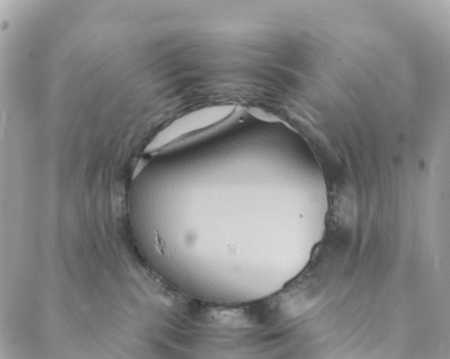 X0000089370283200707061122