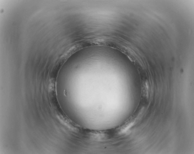 X0000089370284200707061122