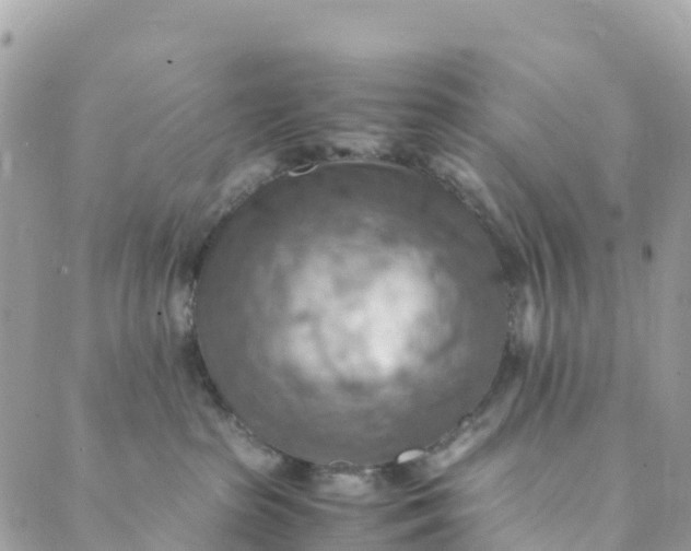 X0000089370285200707061122