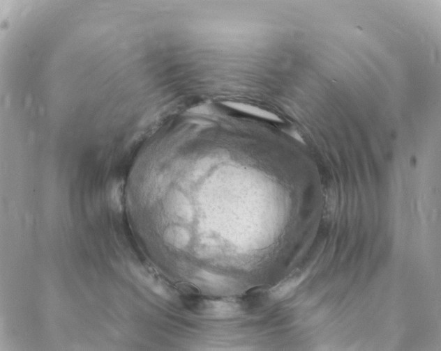 X0000089370286200707061122