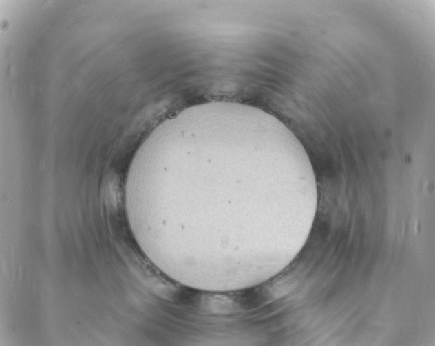 X0000089370287200707061122