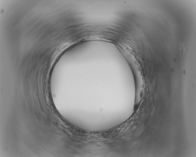 X0000089370289200707061121