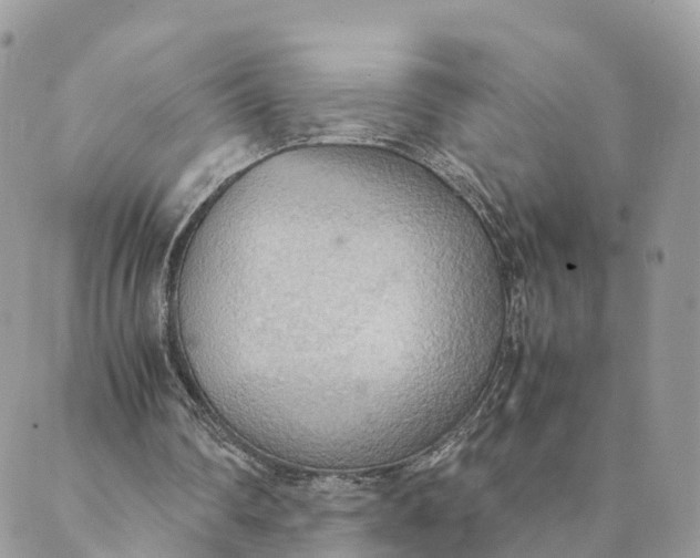 X0000089370290200707061121