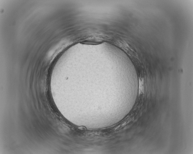 X0000089370291200707061121