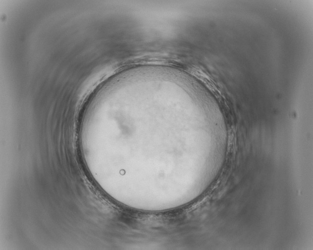 X0000089370293200707061121