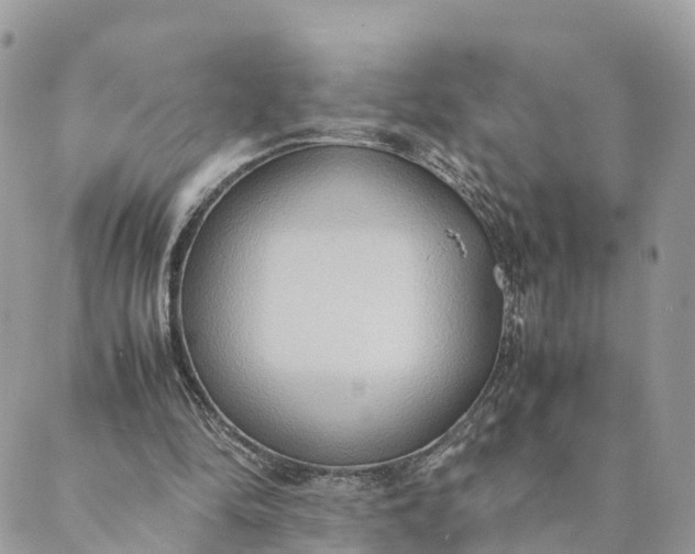 X0000089370294200707061121