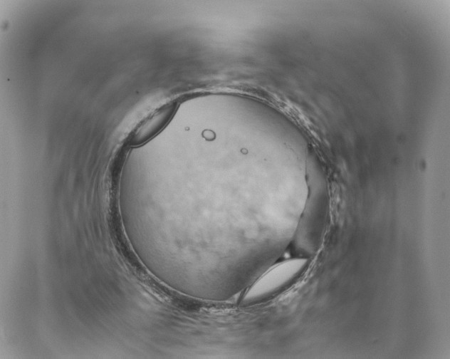 X0000089370295200707061121