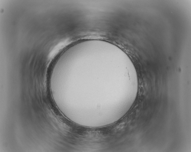 X0000089370296200707061121