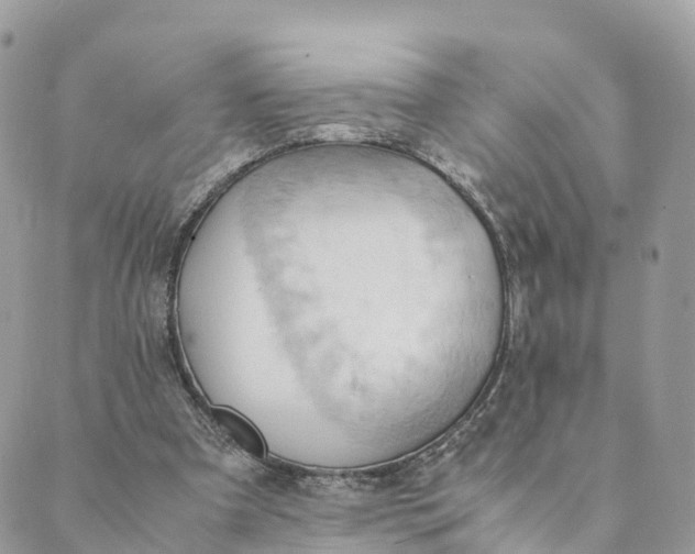 X0000089370297200707061121