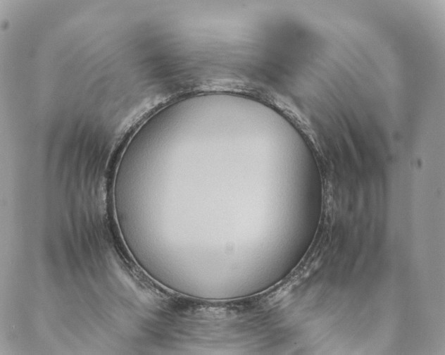 X0000089370298200707061121