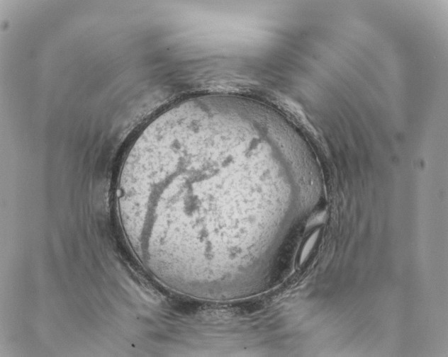 X0000089370299200707061121