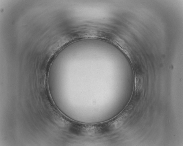 X0000089370301200707061121