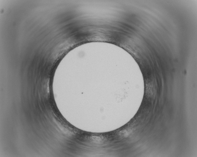 X0000089370302200707061121