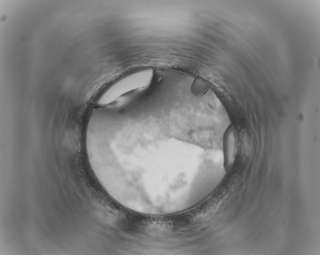 X0000089370303200707061121