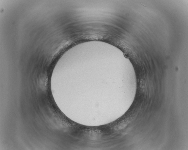 X0000089370304200707061121