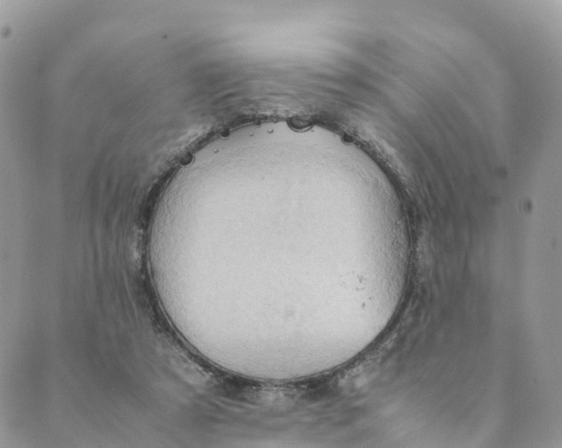 X0000089370305200707061121