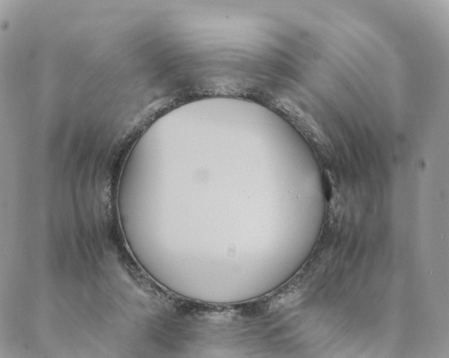 X0000089370306200707061121