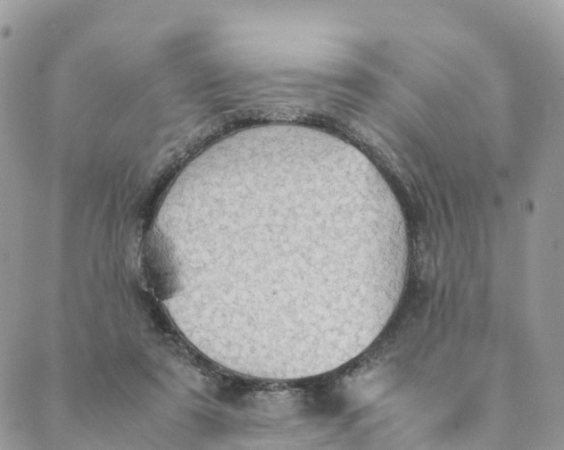 X0000089370307200707061121