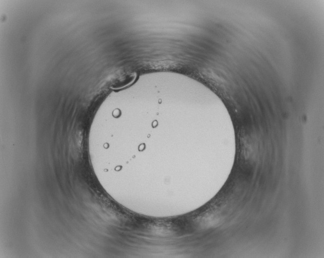 X0000089370308200707061121