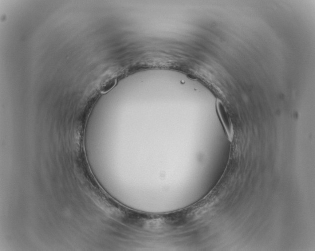 X0000089370309200707061121