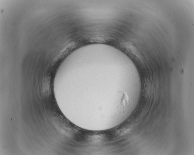 X0000089370312200707061121