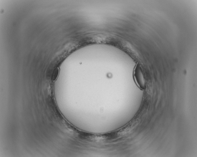 X0000089370313200707061121