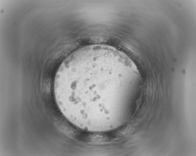 X0000089370315200707061121