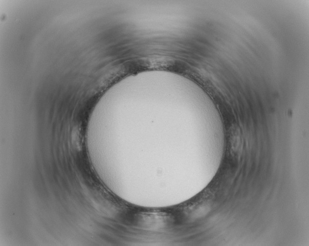 X0000089370316200707061120