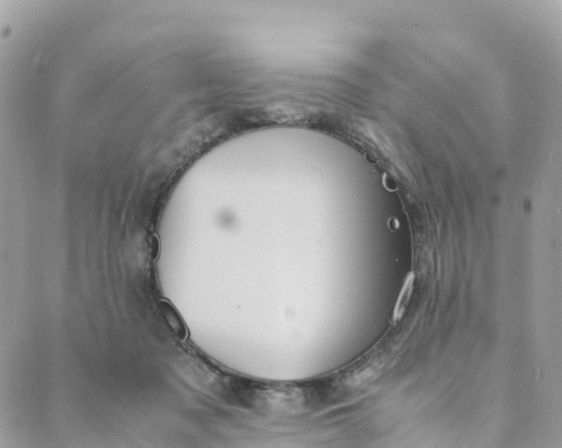 X0000089370317200707061120