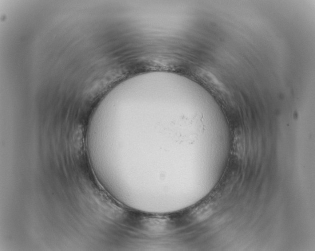 X0000089370318200707061120