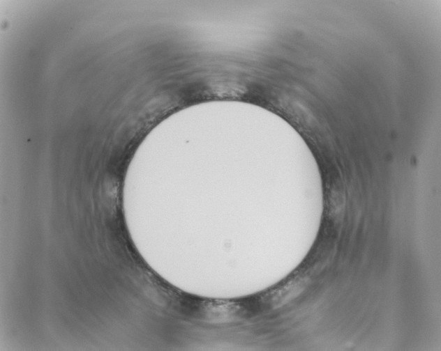 X0000089370321200707061120