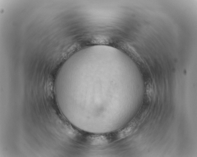 X0000089370322200707061120