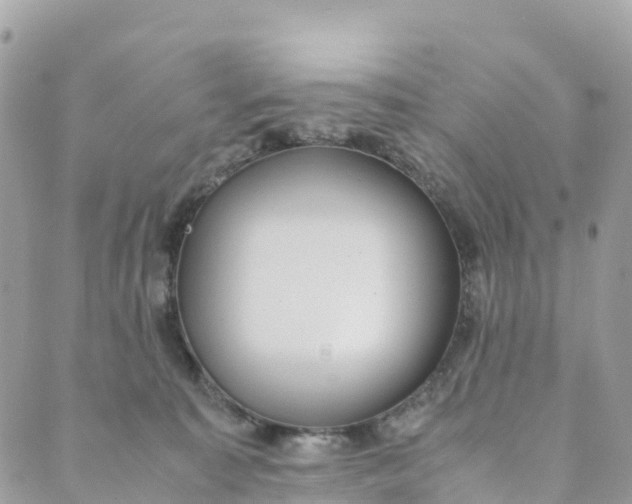 X0000089370323200707061120