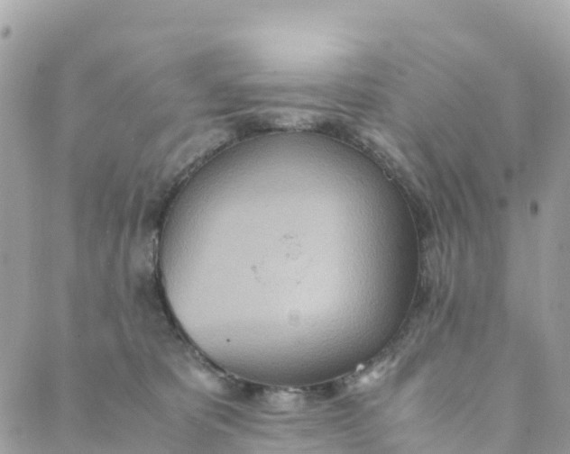 X0000089370325200707061120