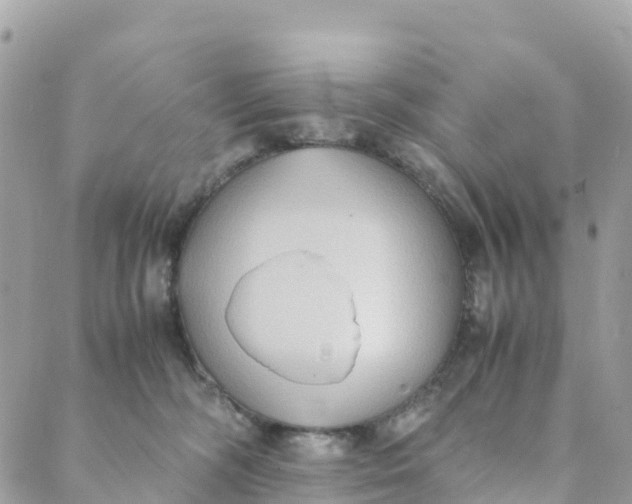 X0000089370326200707061120