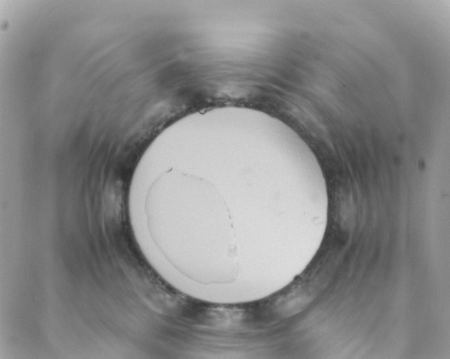 X0000089370328200707061120