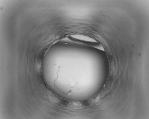 X0000089370329200707061120