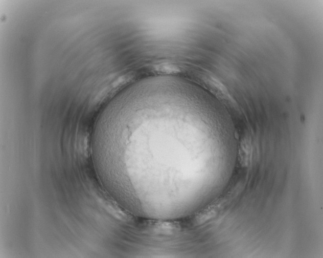 X0000089370330200707061120